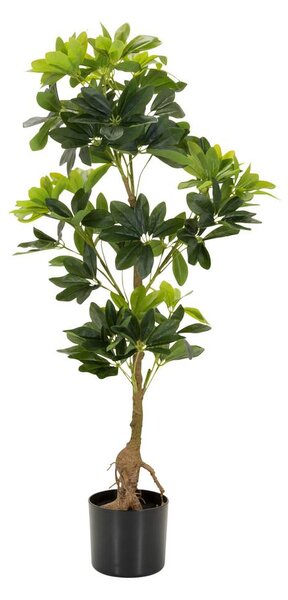 MID.YOU Umetna Rastlina Schefflera
