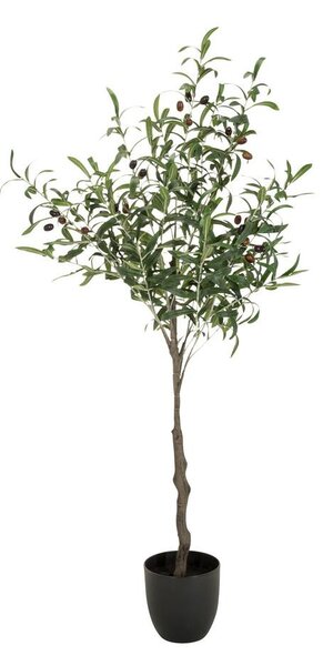 MID.YOU Umetna Rastlina Olive