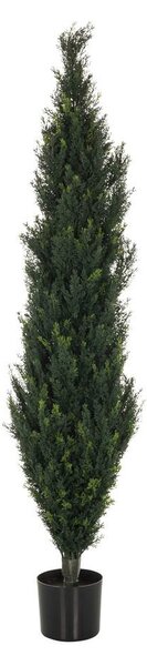 MID.YOU Umetna Rastlina Cedrus