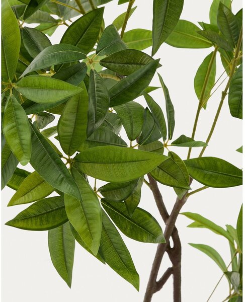 Umetna rastlina (višina 180 cm) Pachira – Kave Home