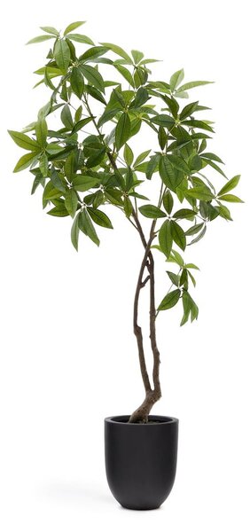 Umetna rastlina (višina 180 cm) Pachira – Kave Home