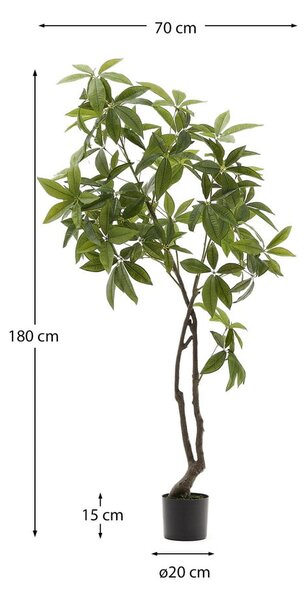 Umetna rastlina (višina 180 cm) Pachira – Kave Home
