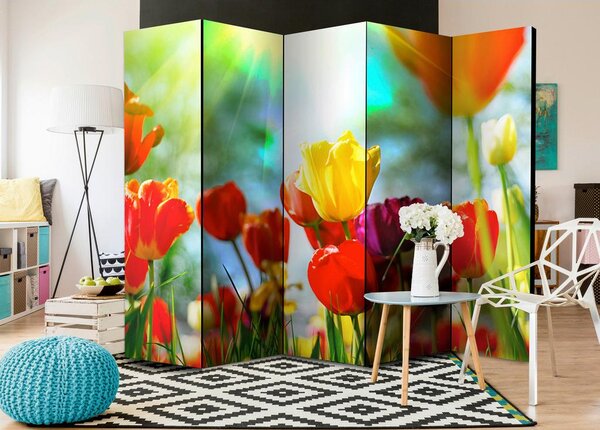 Artgeist Paravan Spring Tulips I, 5-Delni, Dvostranski