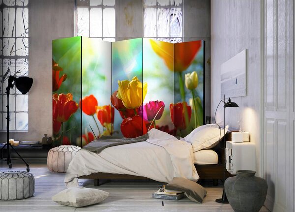 Artgeist Paravan Spring Tulips I, 5-Delni, Dvostranski
