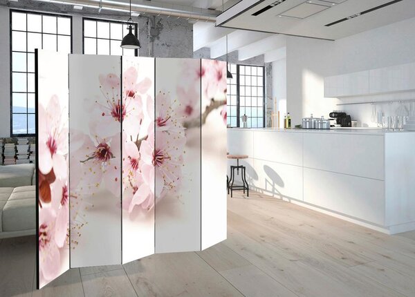 Artgeist Paravan Cherry Blossom I, 5-Delni, Enostranski