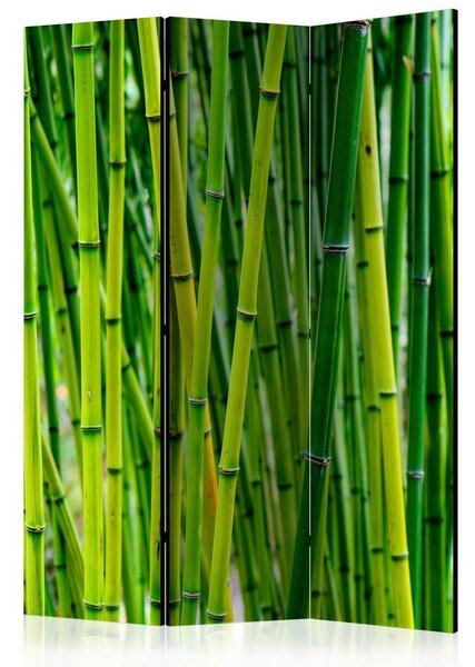 Artgeist Paravan Bamboo Forest, 3-Delni, Enostranski