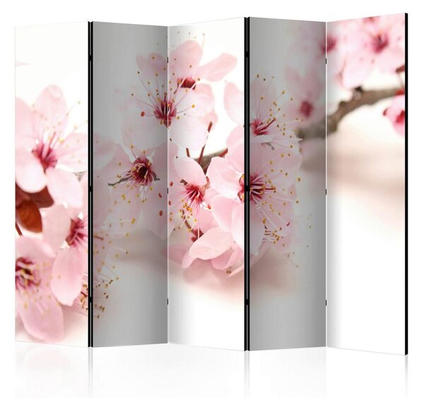 Artgeist Paravan Cherry Blossom I, 5-Delni, Enostranski
