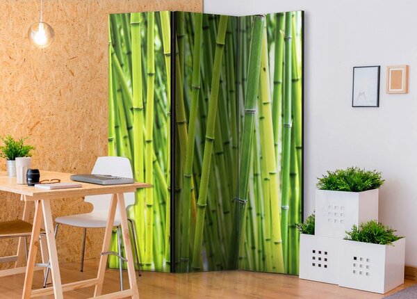 Artgeist Paravan Bamboo Forest, 3-Delni, Enostranski