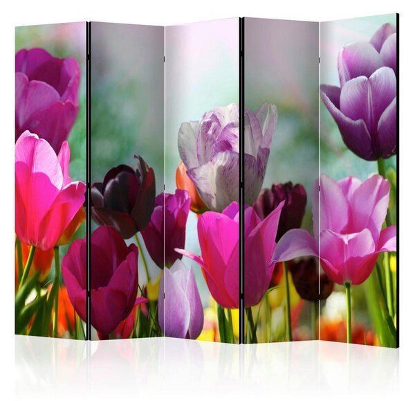 Artgeist Paravan Beautiful Tulips I, 5-Delni, Dvostranski