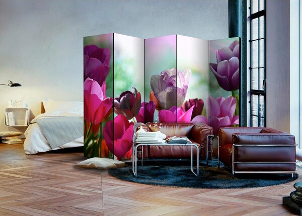 Artgeist Paravan Beautiful Tulips I, 5-Delni, Dvostranski