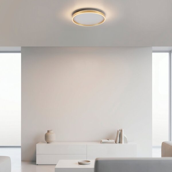 JUST LIGHT. GmbH LED-stropna svetilka Madlen, zlata barva, Ø 40 cm, aluminij, 3000 K, z, zatemnjen, Zlata / medeninasta, Dnevna soba / jedilnica, Kovina, Sodobni