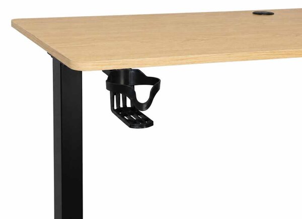 Električna dvižna pisalna miza 120 x 60 cm - svetel les - IKONKA HOME
