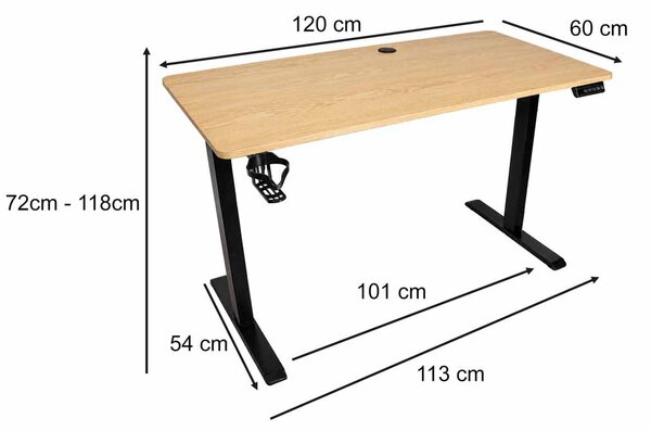 Električna dvižna pisalna miza 120 x 60 cm - svetel les - IKONKA HOME