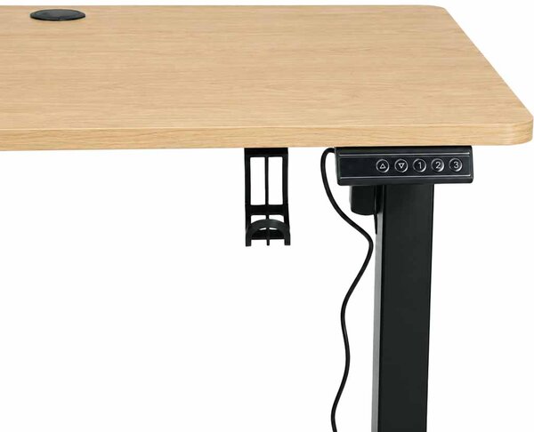 Električna dvižna pisalna miza 120 x 60 cm - svetel les - IKONKA HOME