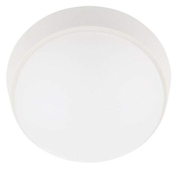 LED Zunanja stropna svetilka LED/12W/230V IP65 bela