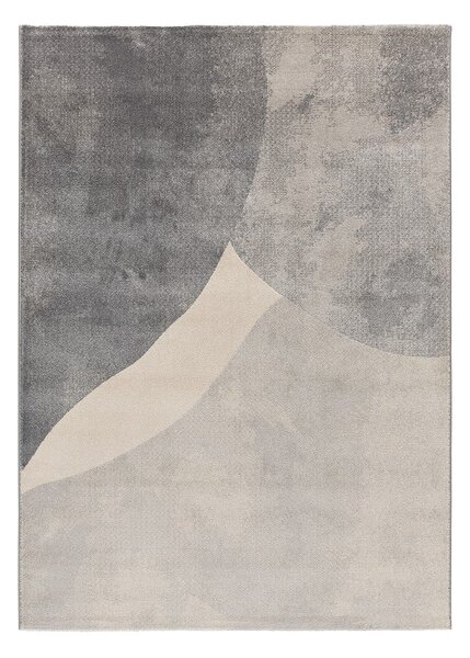 Siva preproga 160x230 cm Monic – Universal