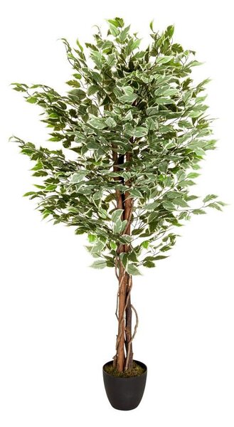 MID.YOU Umetna Rastlina Ficus