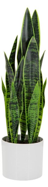 MID.YOU Umetna Rastlina Sansevieria