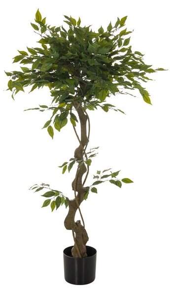 MID.YOU Umetna Rastlina Ficus I