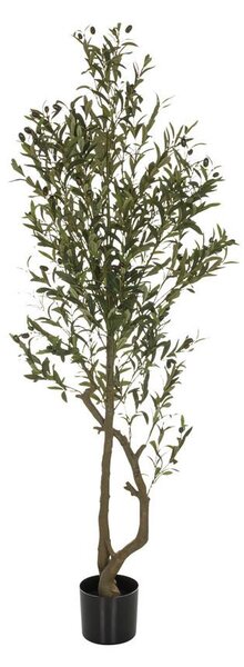 MID.YOU Umetna Rastlina Olive I
