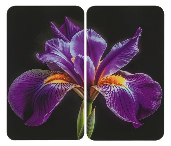 Zaščitne plošče za štedilnik 2 ks iz kaljenega stekla 52x30 cm Iris – Wenko