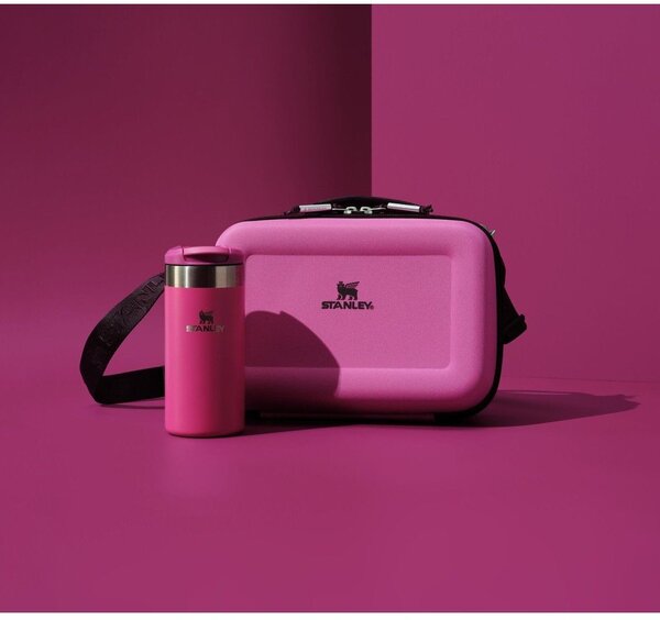 Posoda za malico All Day Arista Mini Lunch Box Dew Drop – Stanley
