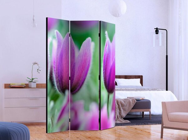 Artgeist Paravan Purple Spring Tulips, 3-Delni, Dvostranski