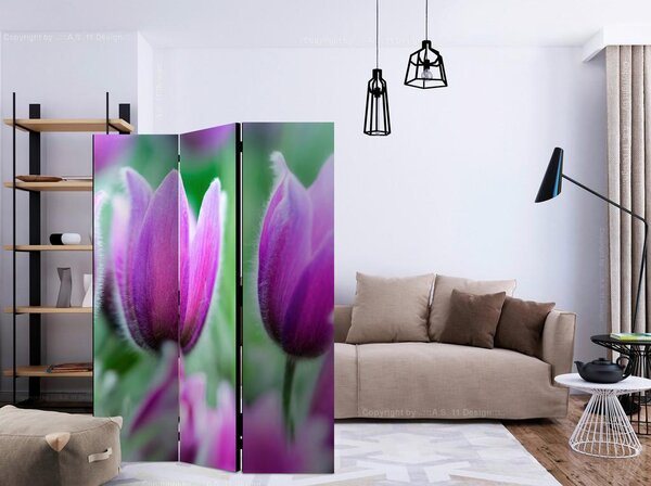 Artgeist Paravan Purple Spring Tulips, 3-Delni, Dvostranski