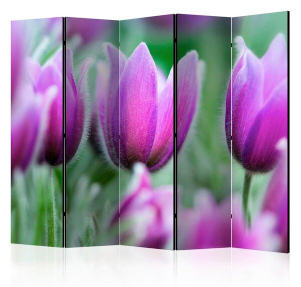 Artgeist Paravan Purple Spring Tulips I, 5-Delni, Dvostranski