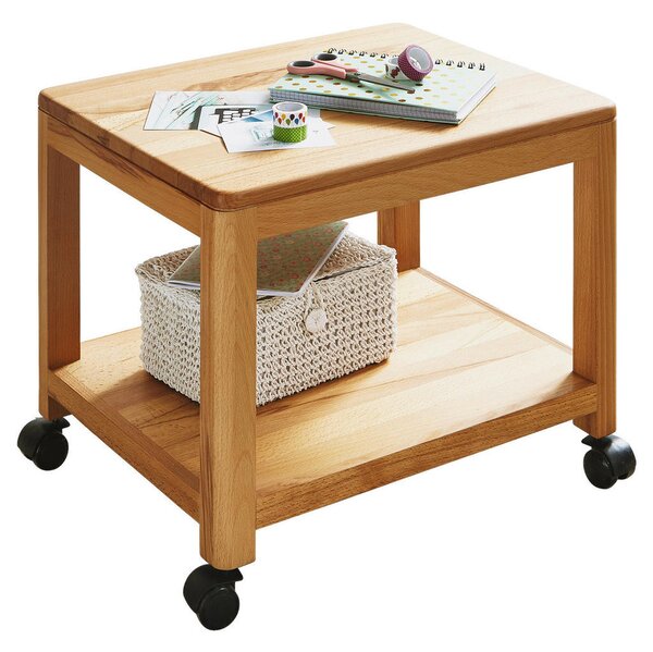 MIZICA, 50/40/40 cm barve bukve