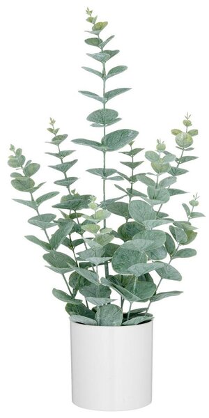 Mömax Umetna Rastlina Eukalyptus Ii -Paz-