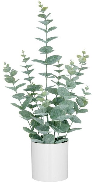 Mömax Umetna Rastlina Eukalyptus Ii -Paz-