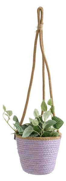 Viseči cvetlični lonec TRIPOLIS 16 cm - več barv Barva: Vijolična