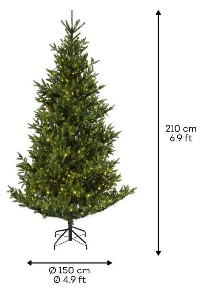 BOŽIČNA JELKA