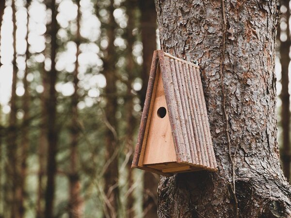 ATMOWOOD Lesena ptičja hišica - trikotna