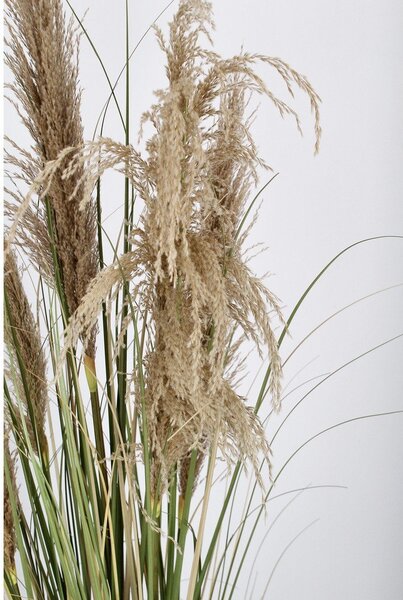 Umetna rastlina (višina 145 cm) Austorderia – Bizzotto