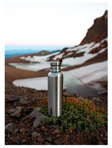 Termovka iz nerjavečega jekla v srebrni barvi 750 ml – Black + Blum