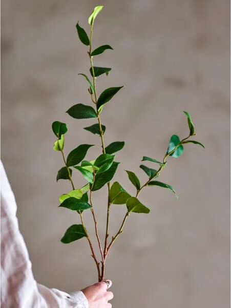 Umetni evkaliptus (višina 110 cm) Eucalyptus – Bloomingville