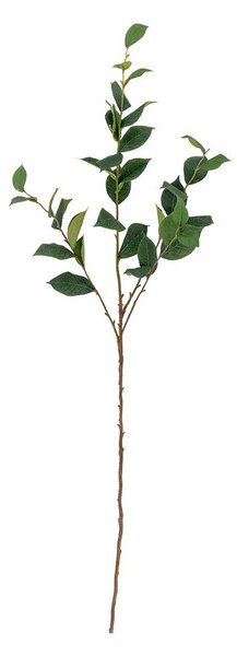 Umetni evkaliptus (višina 110 cm) Eucalyptus – Bloomingville