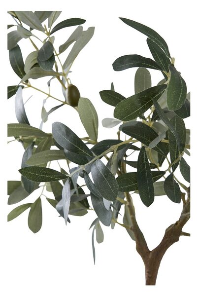 Umetna oljka (višina 61 cm) – House Nordic
