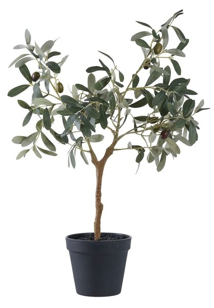 Umetna oljka (višina 61 cm) – House Nordic