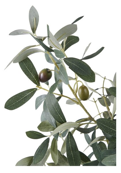Umetna oljka (višina 61 cm) – House Nordic