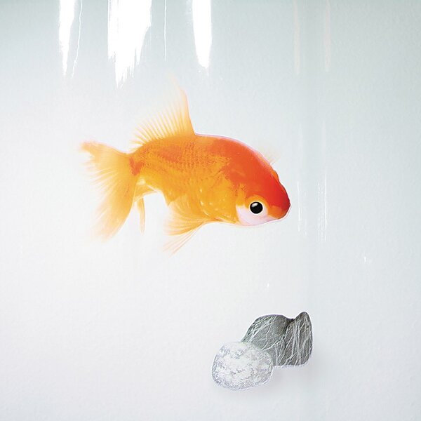 Zavesa za tuš 180x200 cm Goldfish – Spirella