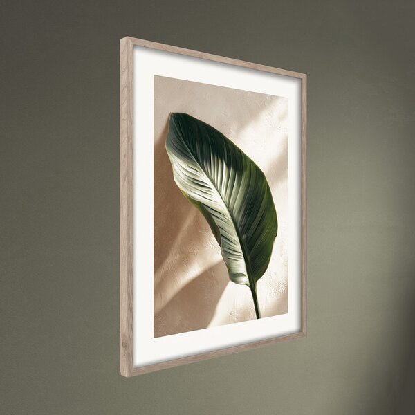 Tiskana slika z okvirjem 50x70 cm Strelizia Leaf – Styler