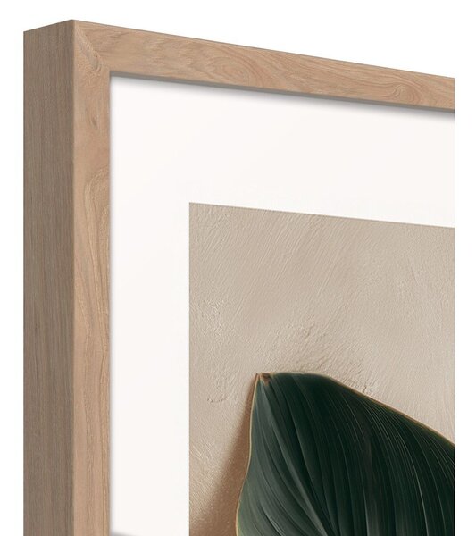 Tiskana slika z okvirjem 50x70 cm Strelizia Leaf – Styler