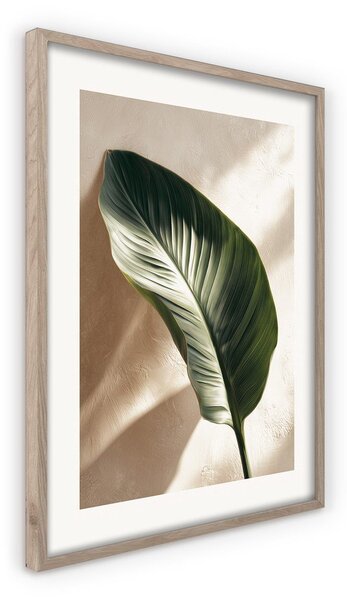 Tiskana slika z okvirjem 50x70 cm Strelizia Leaf – Styler