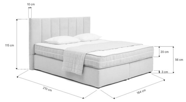 Siva boxspring postelja 180x200 cm Olia Bold Line – Bonami Selection