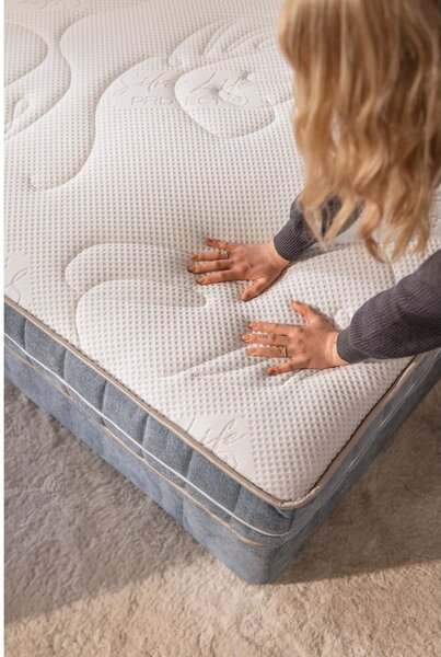 Siva boxspring postelja 180x200 cm Olia Bold Line – Bonami Selection