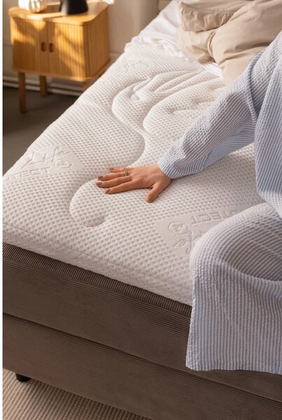 Siva boxspring postelja s prostorom za shranjevanje 160x200 cm Elva Bold Line – Bonami Selection