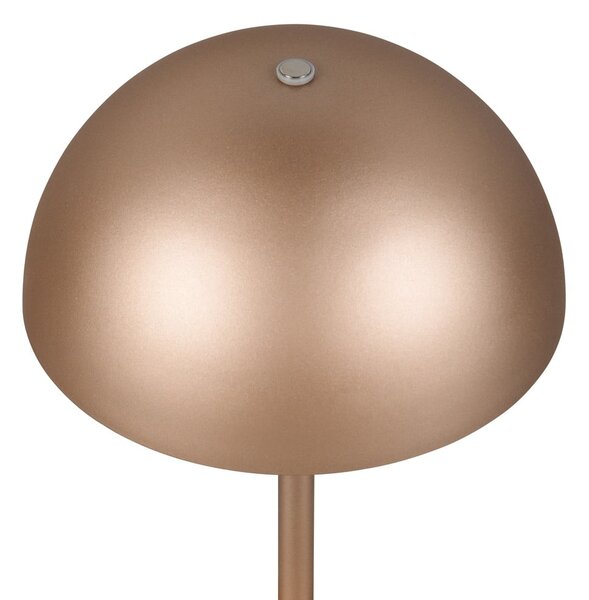 LED namizna svetilka v bronasti barvi s kovinskim senčilom (višina 21 cm) Munoz – Reality